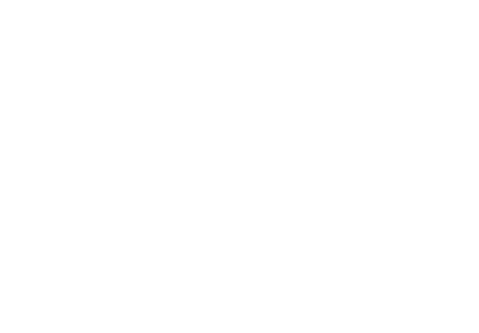 NDK Scrapers logo